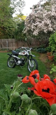 My wife takes better pictures than myself...