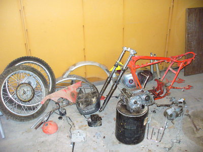 P1000876.JPG