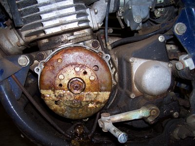 hodak 002.jpg